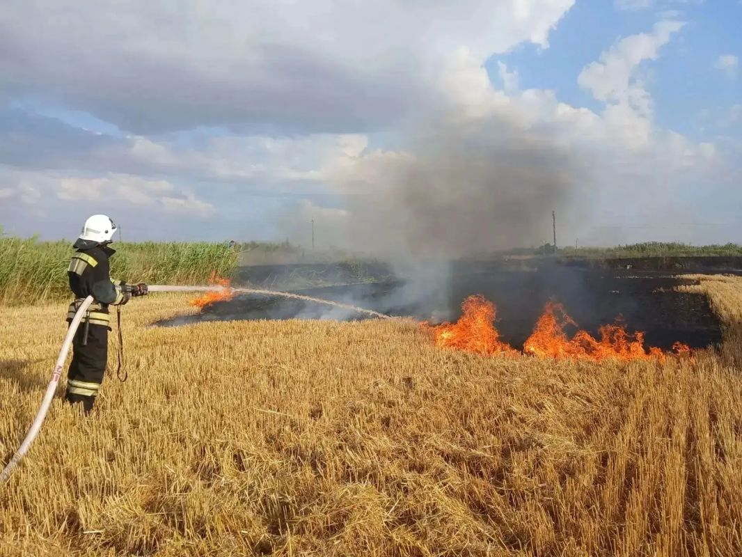 За июль на Кубани ликвидировали пожары сухой растительности на площади 25 тыс