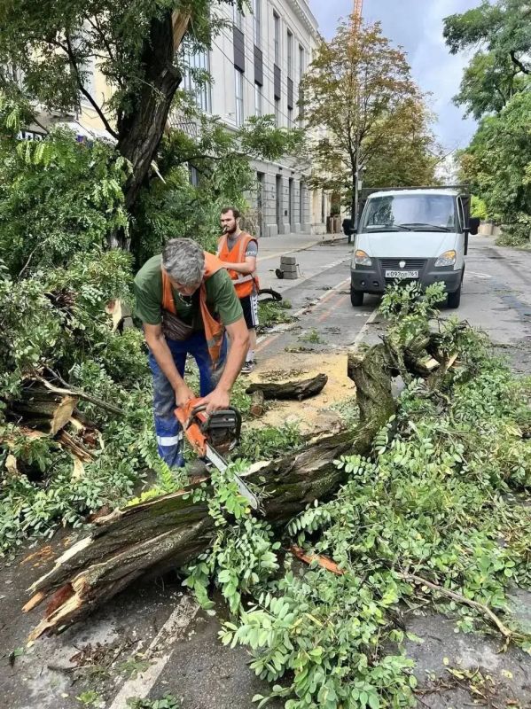 Более 50 человек пострадали во время разгула стихии в Ростовской области Более 50 человек пострадали во время разгула стихии в Ростовской области