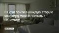 В Сочи 49% собственников квартир разрешают жильцам заселяться с домашними животными, сообщает российская онлайн-платформа для работы с недвижимостью