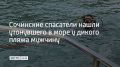 В Сочи 25 июля у дикого пляжа "72-й километр" в 130 метрах от берега нашли тело отдыхающего, который утонул во время шторма