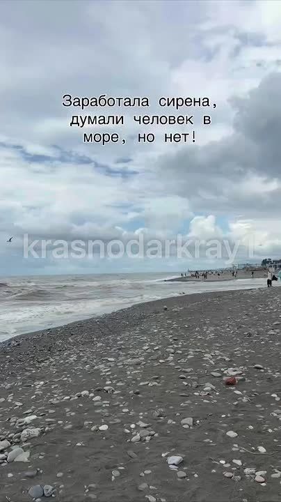 Греб из последних сил. Волнующая сцена разыгралась в Сириусе
