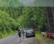 В Румынии турист залип в телефон и не заметил медведя