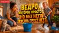 Великая бытовая драма: как одно ведро меняет домашнюю жизнь