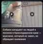 � ���� ����������� ���� �������� ������������ �������� ����������, ����� ������� ��������, ��� � ������ �������� �������������� ������ ���� ����� �������� �� �����