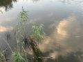 На водоемах Кубани утонули 37 человек с начала года