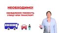 Уроки безопасности: как правильно вести себя при включении сигнала «Внимание всем!» В администрации города-героя Новороссийска подготовлена серия обучающих видеороликов, доступно объясняющих детям и взрослым, как правильно...