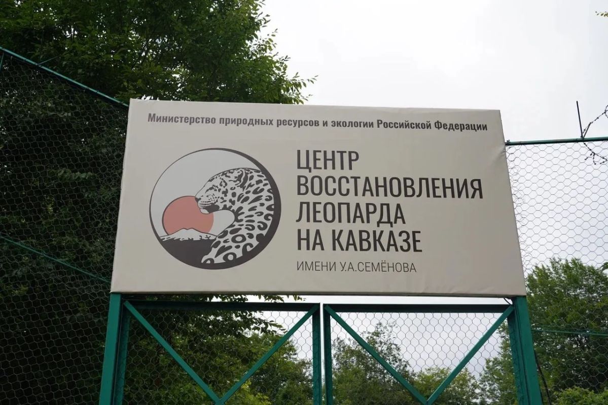 Вениамин Кондратьев: Принял участие в совещании по организации экологического туризма на особо охраняемых территориях, которое провел Заместитель Председателя Правительства России Дмитрий Патрушев Вениамин Кондратьев: Принял участие в совещании по организации экологического туризма на особо охраняемых территориях, которое провел Заместитель Председателя Правительства России Дмитрий Патрушев