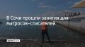 Практические занятия для матросов-спасателей провели в Сочи 29 июля