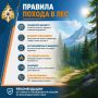Собираешься в поход? Пусть дорога будет в радость, а не в риск!
