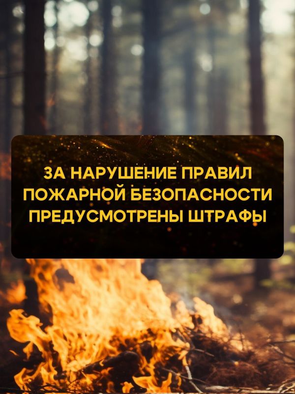 Берегите лес от пожара!. Лесной пожар – неконтролируемое горение растительности на покрытой лесом территории Берегите лес от пожара!. Лесной пожар – неконтролируемое горение растительности на покрытой лесом территории