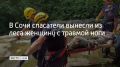 Сочинские спасатели эвакуировали из леса женщину, которая повредила ногу на ручье Сванидзе и не могла передвигаться самостоятельно, сообщили в городской Службе спасения
