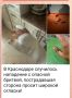 �������� � �������� ���������� ��������� �������� �� ����� ���������� ������ � ����������