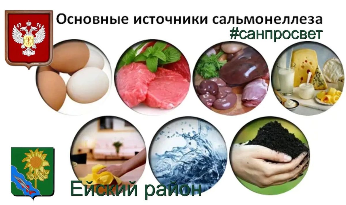 Сальмонеллез – инфекционное заболевание