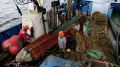 ������� �������-������������� �������� ������ ���������� ���������