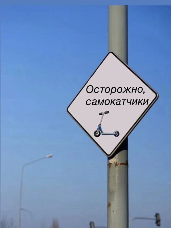 В Японии ставят дорожные знаки, предупреждающие о внезапно выбегающих на дорогу котах В Японии ставят дорожные знаки, предупреждающие о внезапно выбегающих на дорогу котах