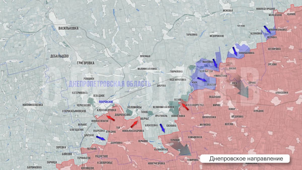 Олег Царёв: Фронтовая сводка 4 августа Олег Царёв: Фронтовая сводка 4 августа