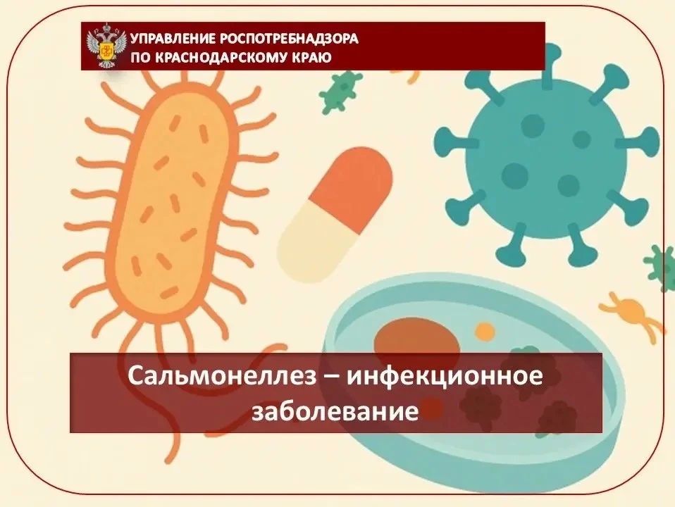 Сальмонеллез – инфекционное заболевание