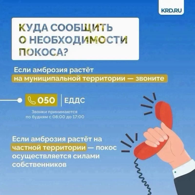 Установившаяся тёплая погода является благоприятными условиями для роста карантинной растительности Установившаяся тёплая погода является благоприятными условиями для роста карантинной растительности
