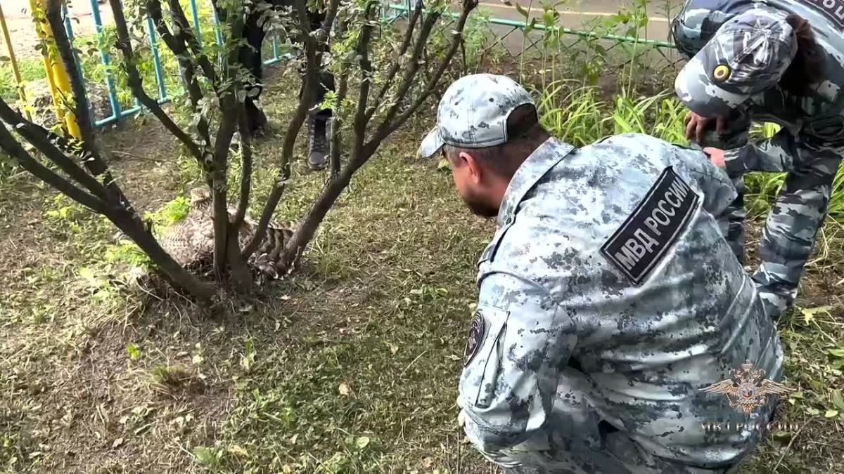 Занятие в детском саду превратилось в спасательную операцию