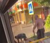 Пассажиры облили водителя автобуса пивом и порвали на нем одежду