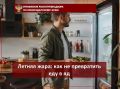 Летняя жара: как не превратить еду в яд