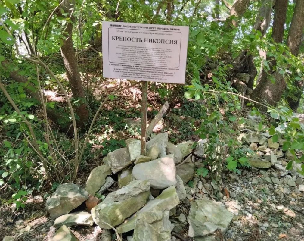 Археологи Эрмитажа прибыли в Краснодарский край для участия в раскопках древнего города Никопсия