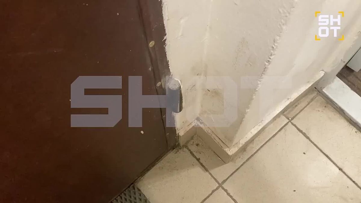 Пенсионерка из Москвы устроила в квартире зоопарк с кайманом и удавом, но суд всё «прикрыл»