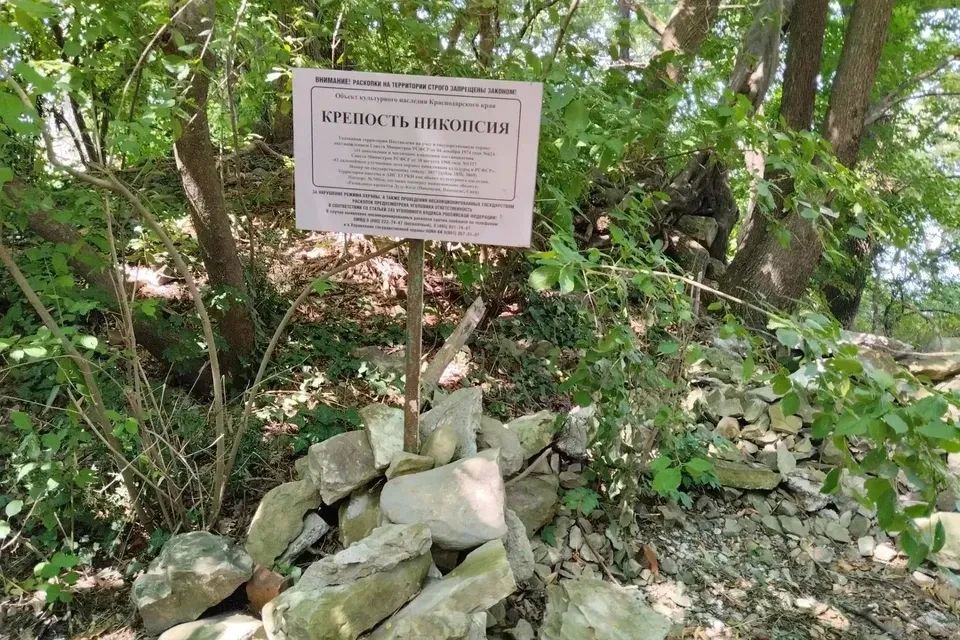 В Туапсинском округе возобновили раскопки древнего города Никопсия