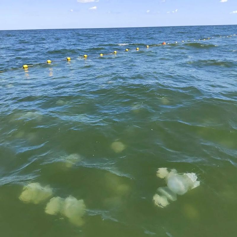 Тестирование сетей от медуз в Азовском море Тестирование сетей от медуз в Азовском море