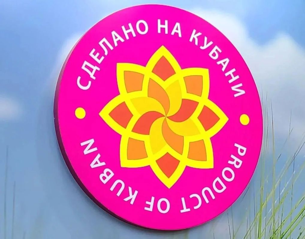 «Сделано на Кубани» в кадре: кинопроекты помогут продвигать региональный бренд