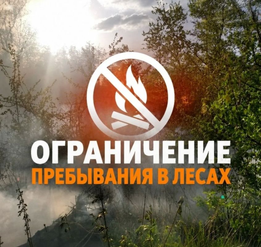 На Кубани продолжают действовать ограничения на пребывания граждан в лесах