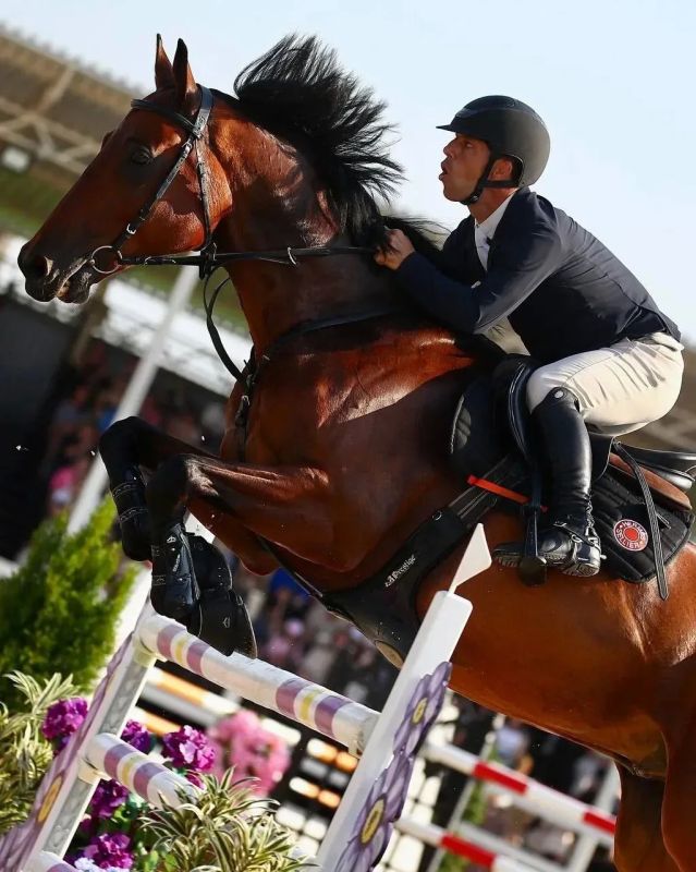 Оганес Амалян — чемпион России по конному спорту! Оганес Амалян — чемпион России по конному спорту!