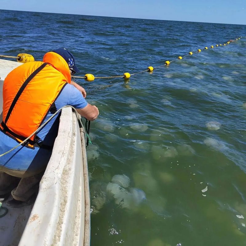 Тестирование сетей от медуз в Азовском море Тестирование сетей от медуз в Азовском море
