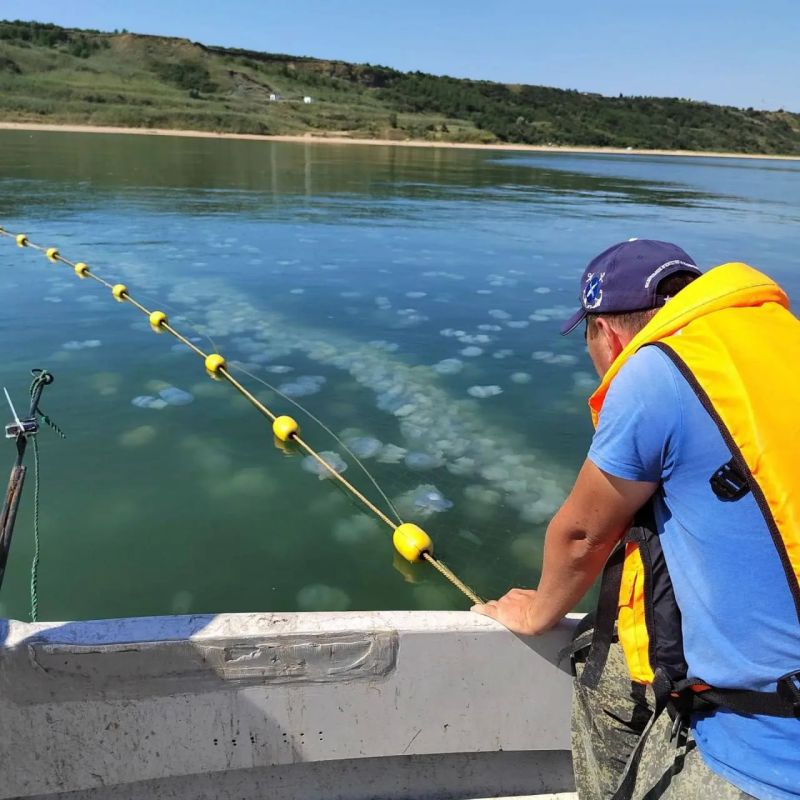Тестирование сетей от медуз в Азовском море Тестирование сетей от медуз в Азовском море