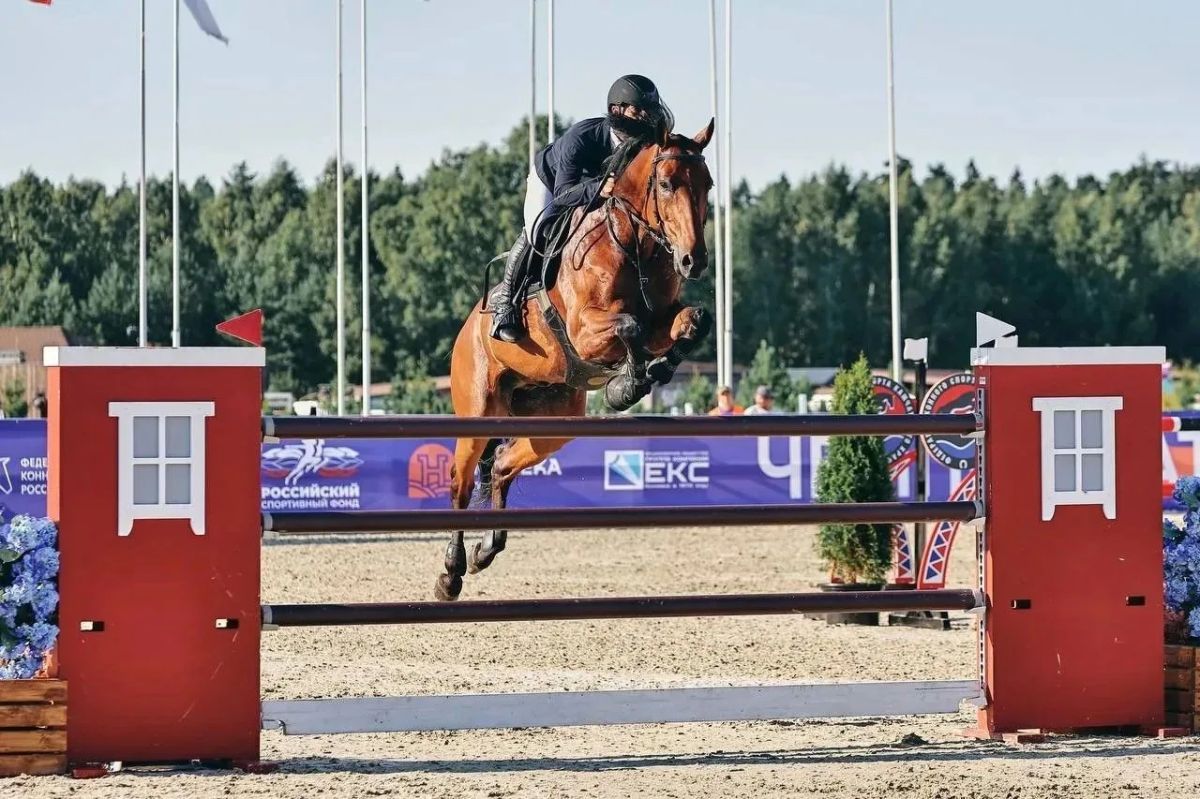 Оганес Амалян — чемпион России по конному спорту! Оганес Амалян — чемпион России по конному спорту!
