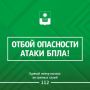 ������� ����������: ������ ����� ����������� ����������� ��������� � ���������� �����
