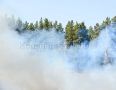 В Голубой Бездне (район геленджикского поселка Джанхот) ликвидирован лесной пожар, разгоревшийся в субботу