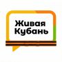 Китайские авто начали массово ломаться у россиян из-за низкокачественного бензина