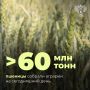 Уборка пшеницы преодолела экватор