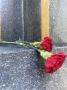 Память о легенде живёт. . 8 августа отмечалась 77-ая годовщина со дня смерти выдающегося спортсмена и нашего прославленного земляка — Ивана Максимовича Поддубного