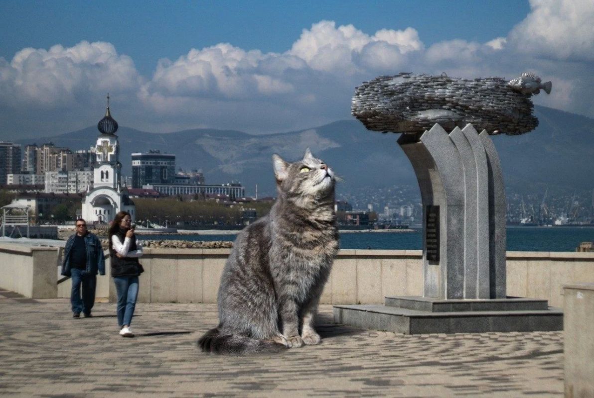 В Новороссийске показали необычную серию фотографий с гигантскими котами В Новороссийске показали необычную серию фотографий с гигантскими котами