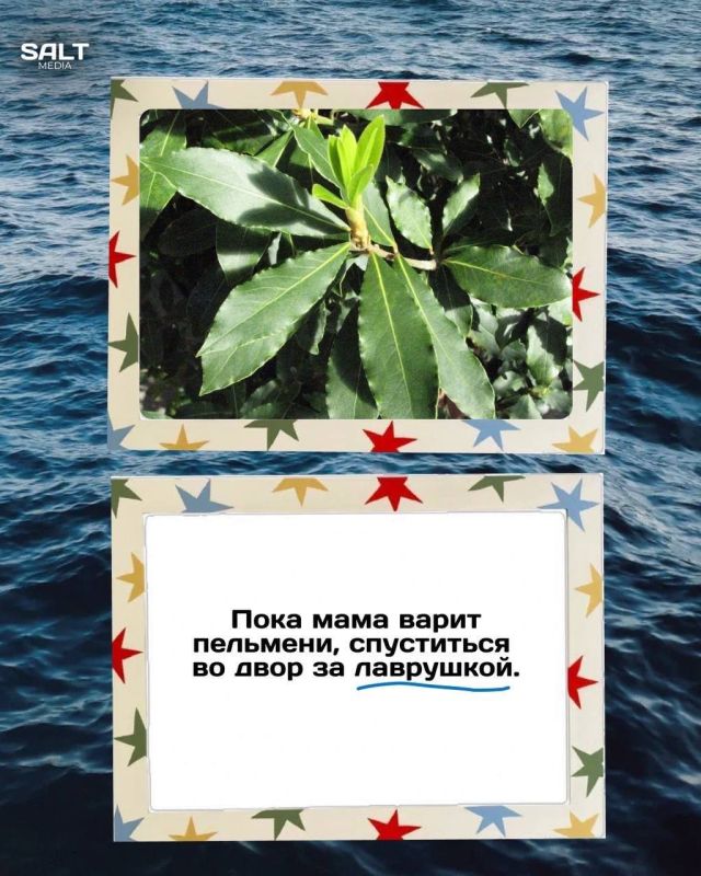 Тогда мы даже не понимали, насколько нам повезло… Тогда мы даже не понимали, насколько нам повезло…