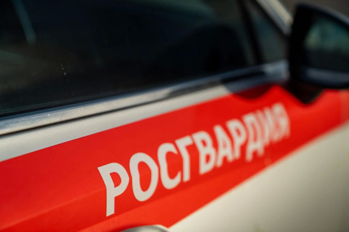 Нарушение общественного порядка пресекли на пляже в Новороссийске