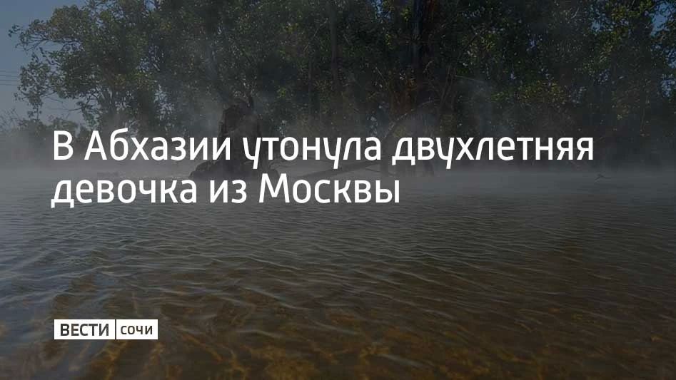 В Очамчырском районе Абхазии утонула двухлетняя девочка из Москвы, сообщает Sputnik Абхазия