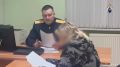 Женщина столкнула свою трехлетнюю дочь с балкона девятогого этажа в Сергиевом Посаде