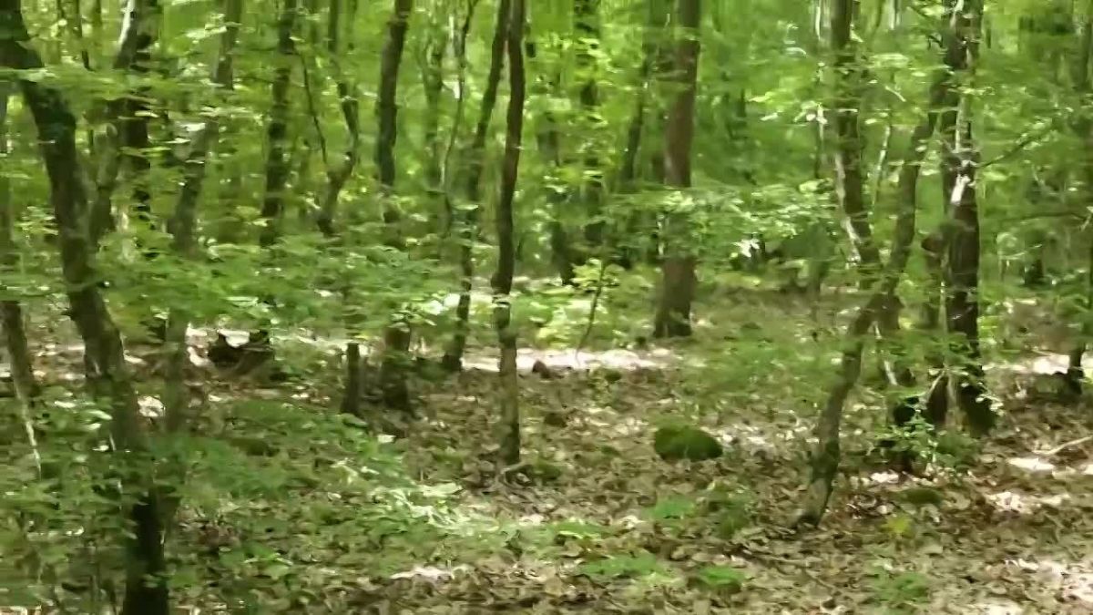 Внимание: экстренное предупреждение