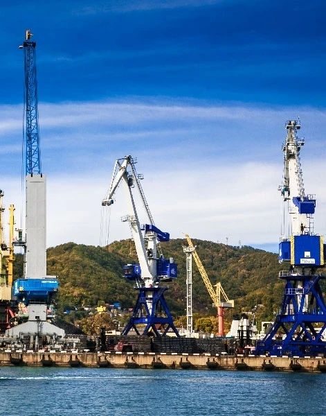 В Краснодарском крае местный житель предстанет перед судом за причинение тяжкого вреда здоровью работника порта