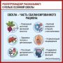 Управление Роспотребнадзора по Краснодарскому краю рассказывает о пользе сезонной свеклы и дает советы по выбору корнеплода