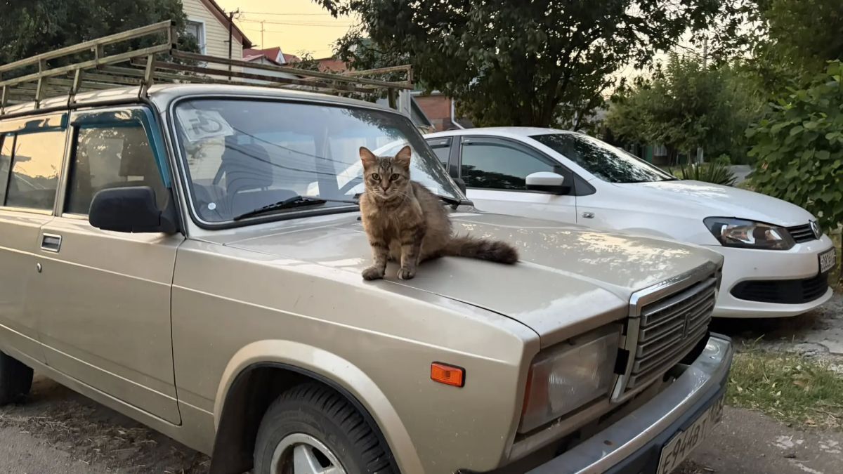 О погоде на 13 августа. В Краснодарском крае переменная облачность О погоде на 13 августа. В Краснодарском крае переменная облачность