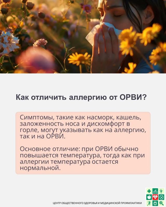 Хотите убежать от аллергии на амброзию? Хотите убежать от аллергии на амброзию?